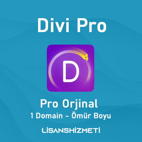 Divi Pro WordPress Teması